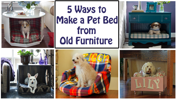 Dog Bed Furniture Diy